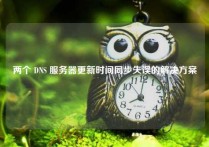 两个 DNS 服务器更新时间同步失误的解决方案