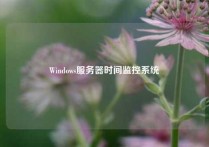 Windows服务器时间监控系统