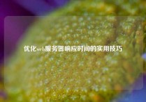 优化web服务器响应时间的实用技巧