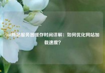 360网站服务器缓存时间详解：如何优化网站加载速度？