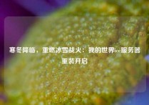 寒冬降临，重燃冰雪战火：我的世界ice服务器重装开启