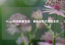 Wosign时间戳服务器：确保您的文档安全性