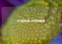 MT4服务器53开放时间表