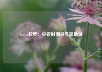 Linux教程：查看时间服务器地址