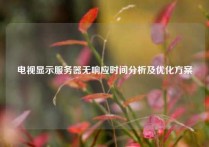 电视显示服务器无响应时间分析及优化方案