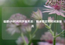 福建GPS时间同步服务器：精准稳定的时间源服务