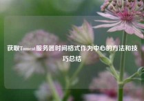 获取Tomcat服务器时间格式作为中心的方法和技巧总结