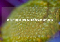 查询FTP服务器系统时间方法及操作步骤