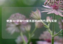 使用.NET获取NTP服务器时间的方法与实现