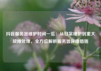 抖音服务器维护时间一览：从日常维护到重大故障处理，全方位解析服务器保障措施