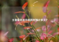 王者服务器升级耗时预计多久？