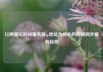 以阿里云时间服务器ip地址为核心的时间同步服务应用