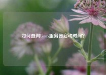 如何查询Linux服务器启动时间？