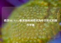 修改SQL Server服务器时间格式为中文形式的操作步骤