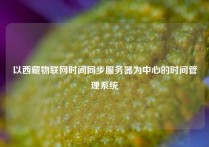 以西藏物联网时间同步服务器为中心的时间管理系统