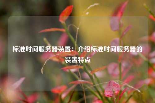 标准时间服务器装置：介绍标准时间服务器的装置特点