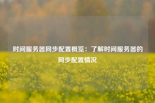 时间服务器同步配置概览：了解时间服务器的同步配置情况