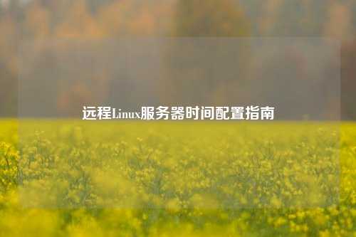 远程Linux服务器时间配置指南