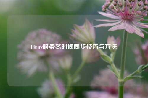 Linux服务器时间同步技巧与方法