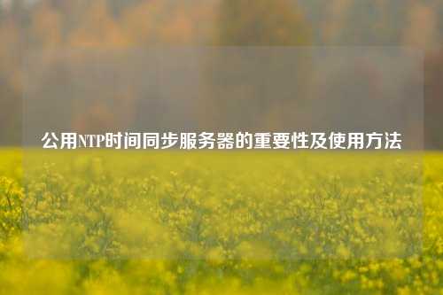 公用NTP时间同步服务器的重要性及使用方法