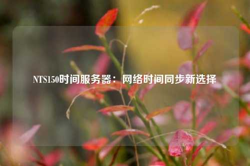 NTS150时间服务器：网络时间同步新选择