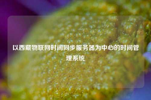 以西藏物联网时间同步服务器为中心的时间管理系统