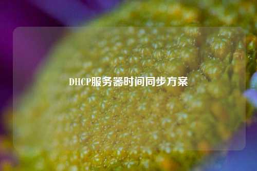 DHCP服务器时间同步方案