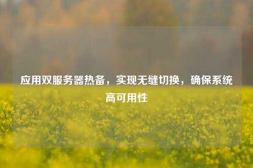 应用双服务器热备，实现无缝切换，确保系统高可用性