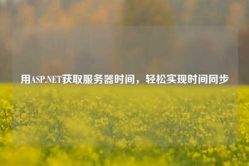 用ASP.NET获取服务器时间，轻松实现时间同步