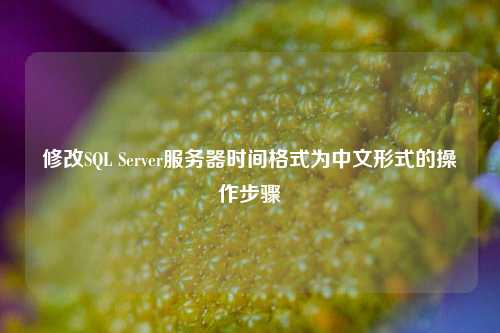 修改SQL Server服务器时间格式为中文形式的操作步骤