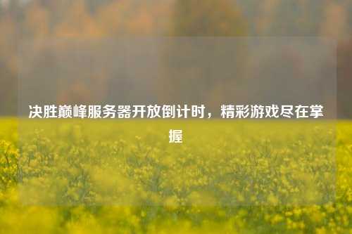 决胜巅峰服务器开放倒计时，精彩游戏尽在掌握