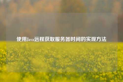 使用Java远程获取服务器时间的实现方法