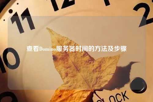 查看Domino服务器时间的方法及步骤