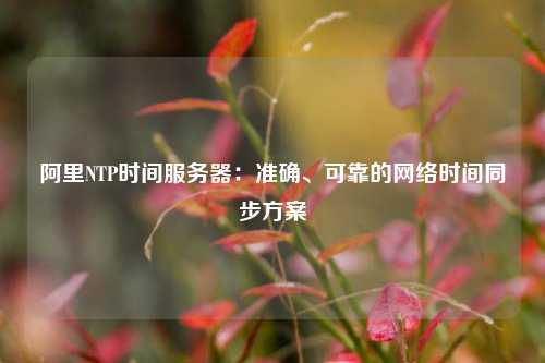 阿里NTP时间服务器：准确、可靠的网络时间同步方案