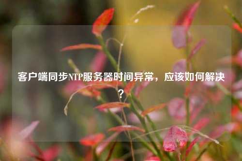 客户端同步NTP服务器时间异常，应该如何解决？