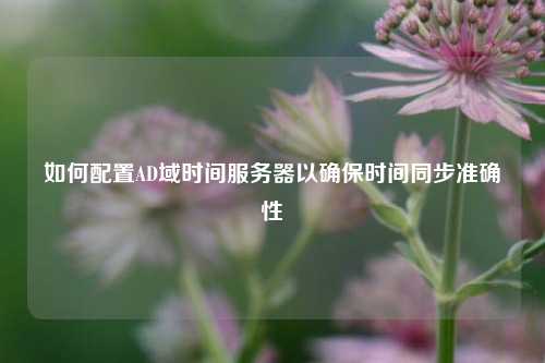 如何配置AD域时间服务器以确保时间同步准确性