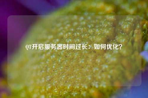 QT开启服务器时间过长：如何优化？