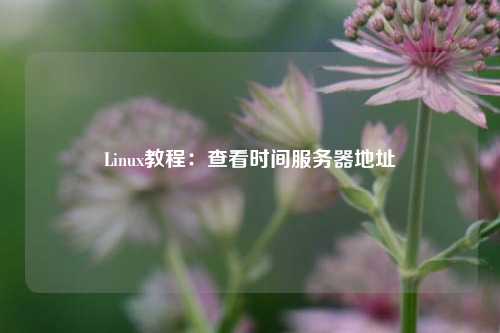 Linux教程：查看时间服务器地址