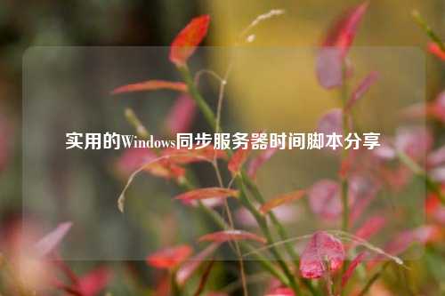 实用的Windows同步服务器时间脚本分享