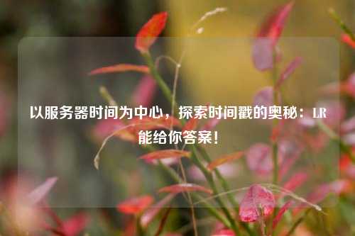 以服务器时间为中心，探索时间戳的奥秘：LR能给你答案！