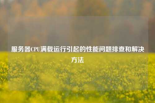 服务器CPU满载运行引起的性能问题排查和解决方法