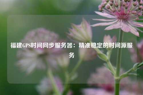 福建GPS时间同步服务器：精准稳定的时间源服务