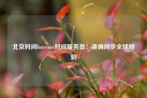 北京时间Internet时间服务器：准确同步全球时刻