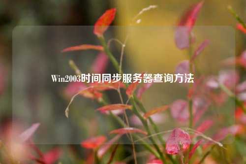 Win2003时间同步服务器查询方法