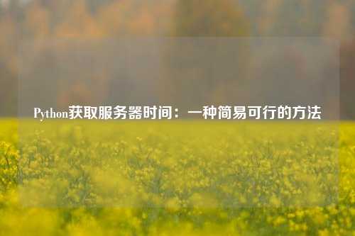 Python获取服务器时间：一种简易可行的方法