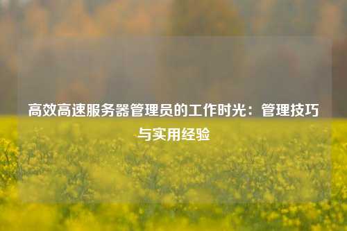 高效高速服务器管理员的工作时光：管理技巧与实用经验