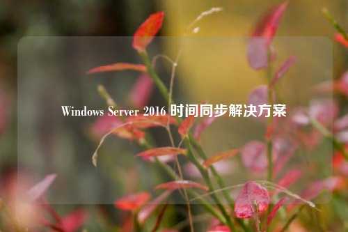 Windows Server 2016 时间同步解决方案