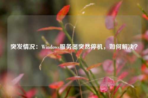 突发情况：Windows服务器突然停机，如何解决？