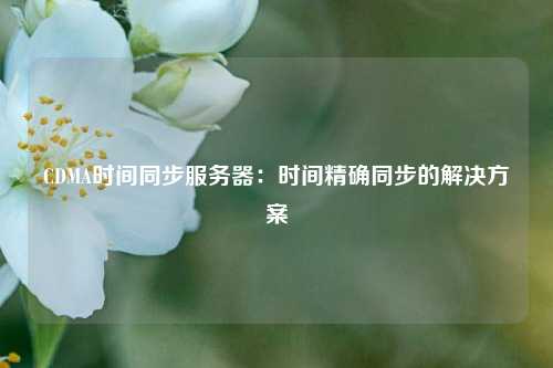 CDMA时间同步服务器：时间精确同步的解决方案